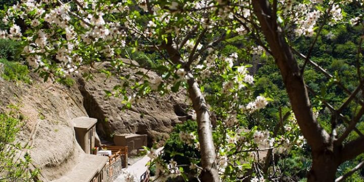 Barranco de Guaydeque Gran Canaria