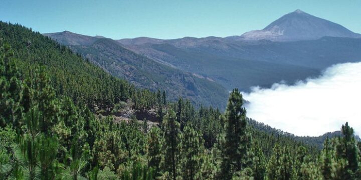 El Teide