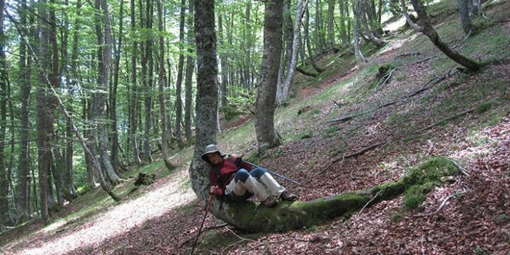 Vandring Picos de Europa
