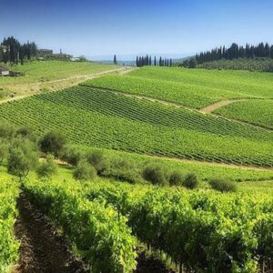chianti-toscana-vinvandring