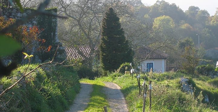 Cykelresa Asturien på landsbygden