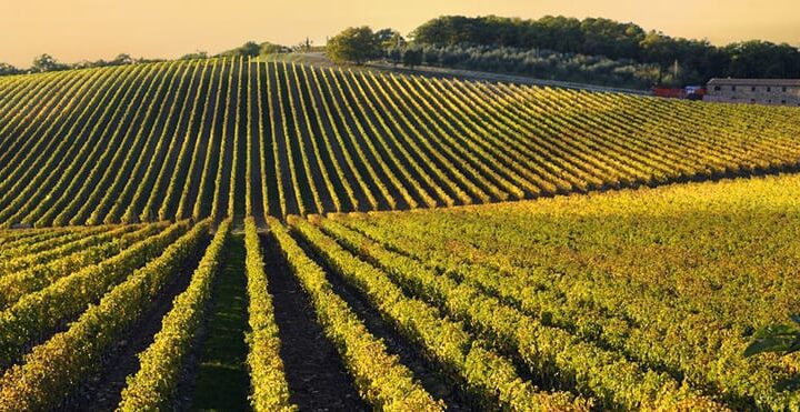 radda-in-chianti-vandring