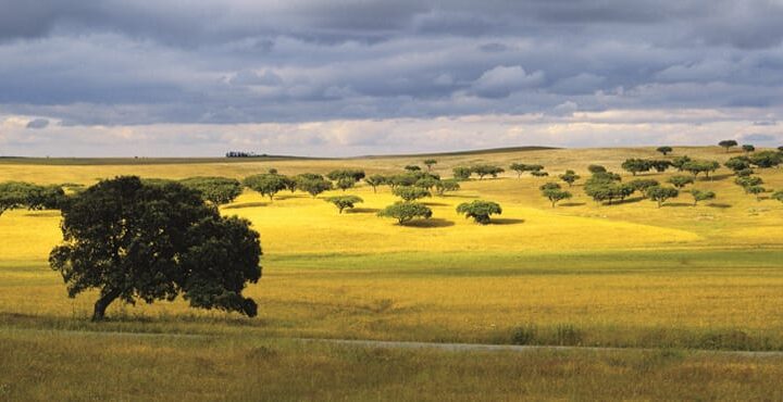 Alentejo-Portugal-cykelresor