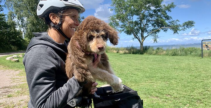 Cykelsemester med hund